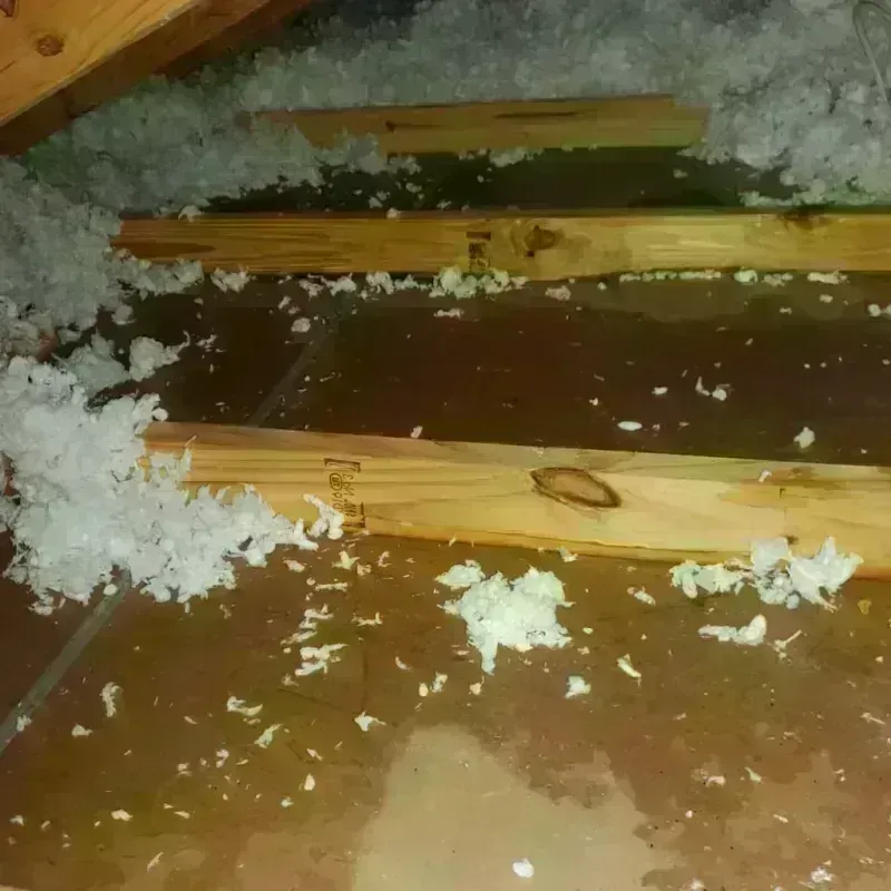 Attic Water Damage in Rockbridge County, VA